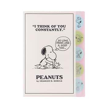 【レア】　スヌーピー クリアファイルセット PEANUTS スヌーピー クリアフォルダ ピーナッツ A4＆A5 クリア